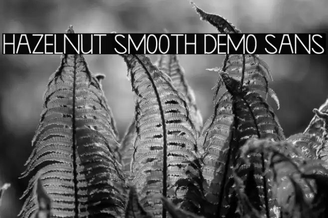Hazelnut Smooth Demo Sans Font examples