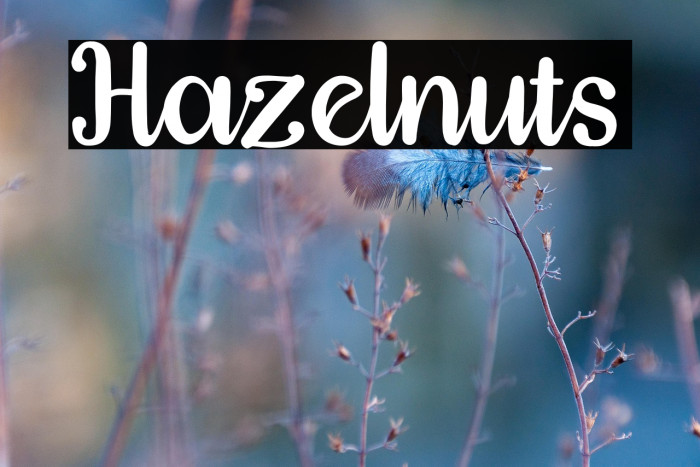 Hazelnuts Example 2