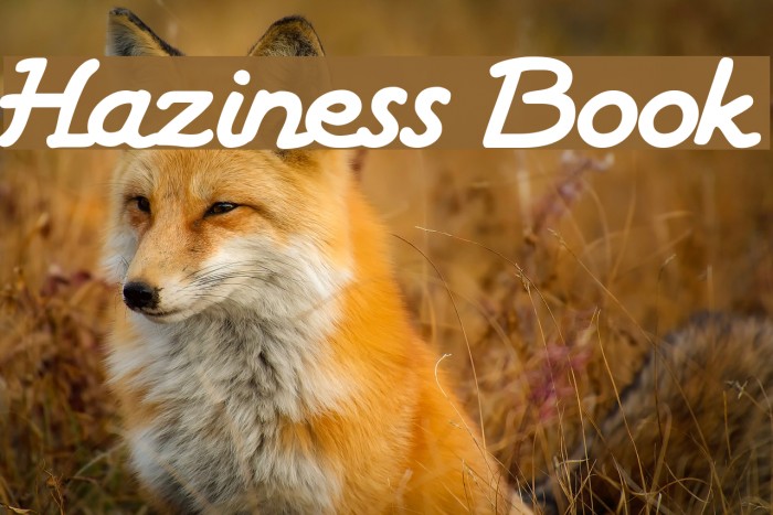 Haziness Book Font examples