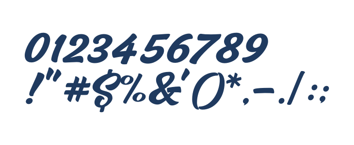 Hazzard Personal Use Regular Other Characters