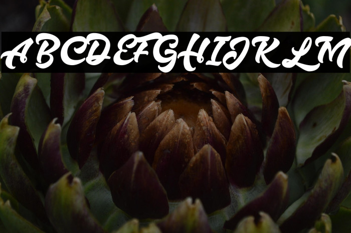 Hazzard Personal Use Regular Example 1