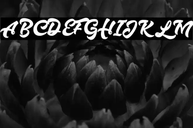 Hazzard Personal Use Regular Font examples