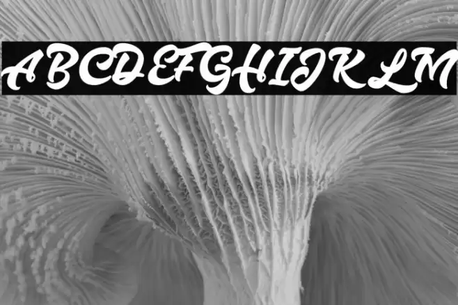 Hazzard Personal Use Regular Font examples