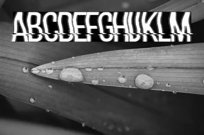 hackerchaos Polices examples