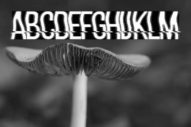 hackerchaos Polices examples