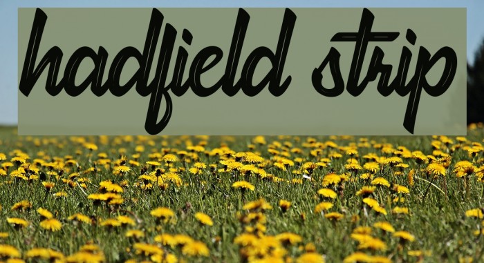 hadfield strip Font examples