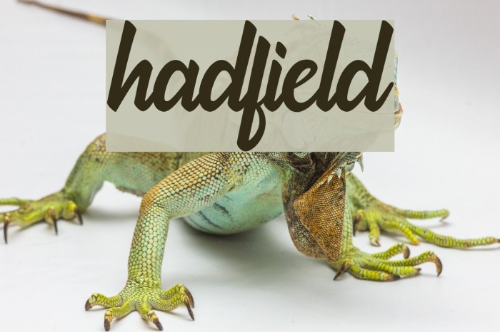 hadfield Example 1