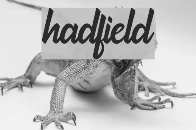 hadfield Font examples