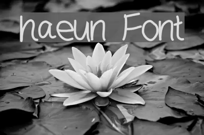 haeun Font examples