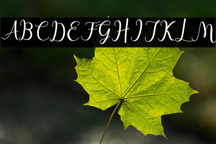 hafsha-Regular Example 1