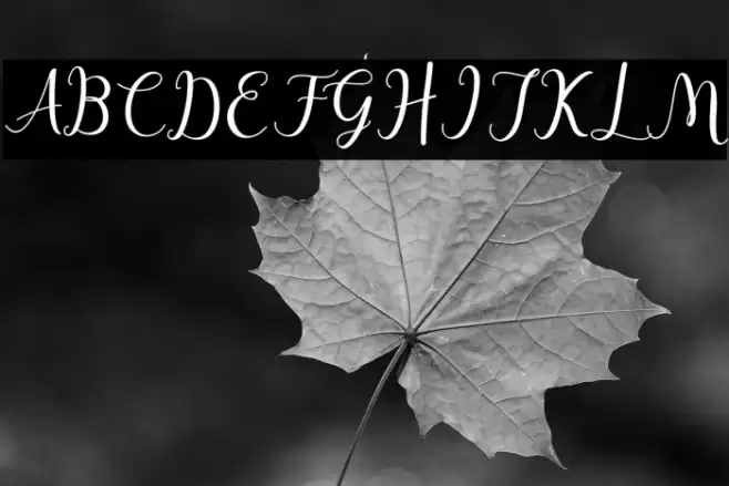 hafsha-Regular Fuentes examples