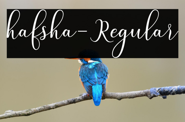 hafsha-Regular Example 1
