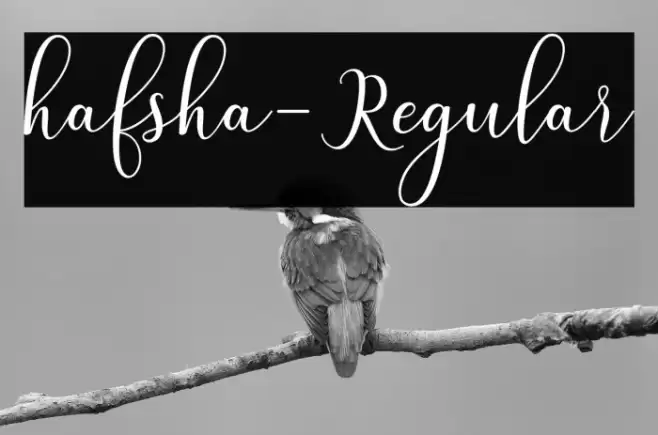hafsha-Regular Fuentes examples