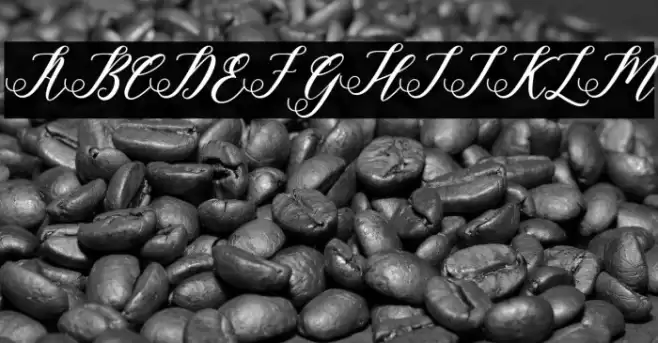 halley Font examples