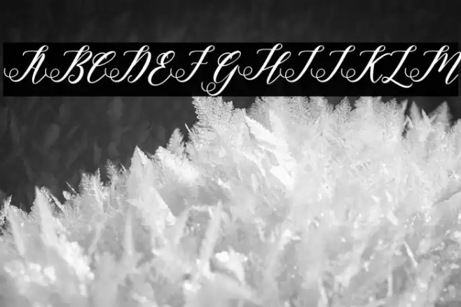 halley Font examples