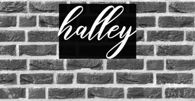 halley Font examples