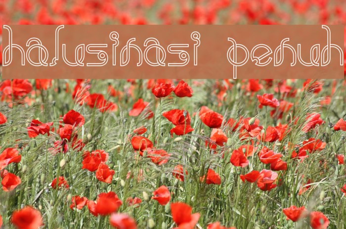 halusinasi penuh Font examples