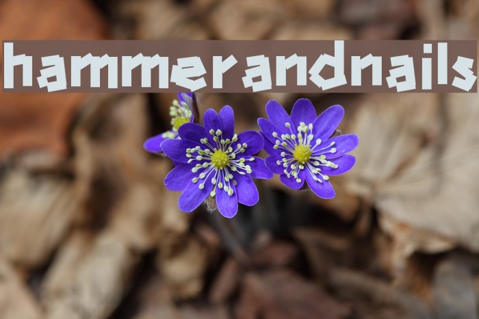 hammerandnails Example 3