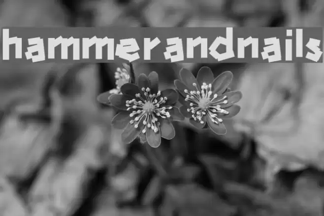 hammerandnails Font examples