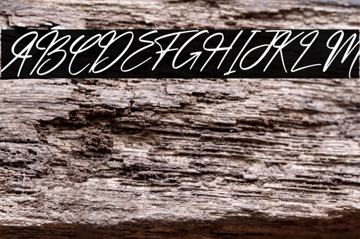 hand script Italic Example 3