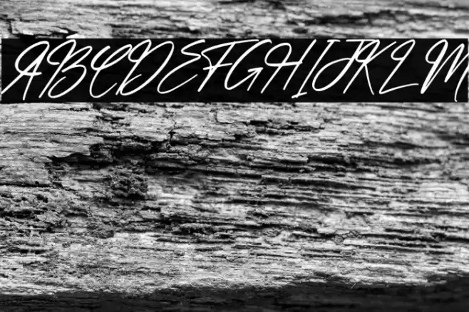 hand script Italic Font examples