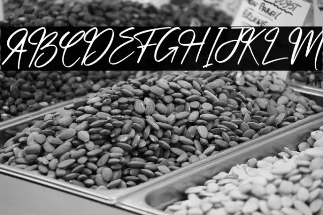 hand script Font examples