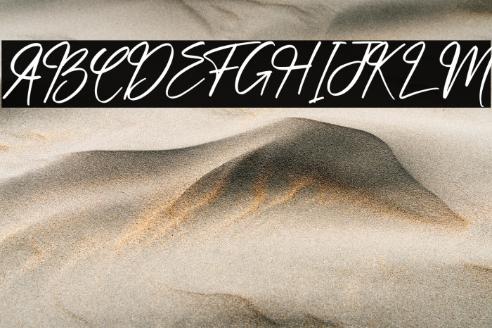 hand script Example 2