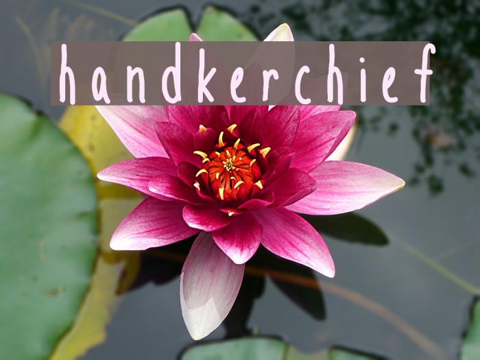 handkerchief Font examples