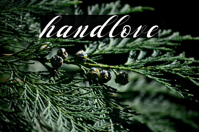 handlove Example 1