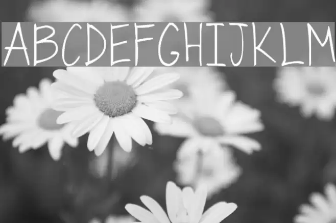 handwriting by lev Font examples