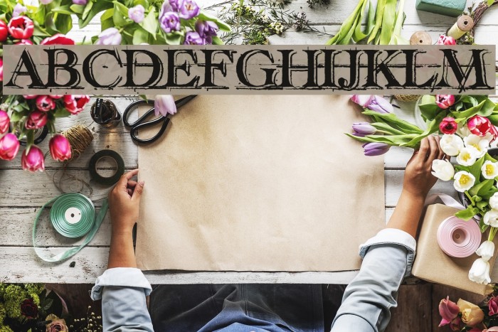 handwriting-draft-shaded demo Font examples