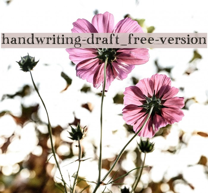 handwriting-draft_free-version Font examples