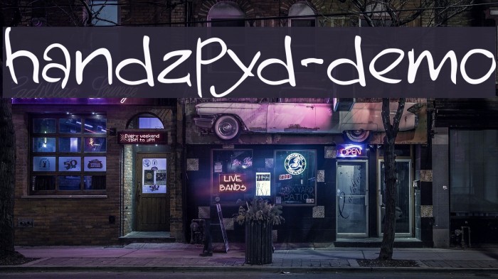 handzpyd-demo Example 1