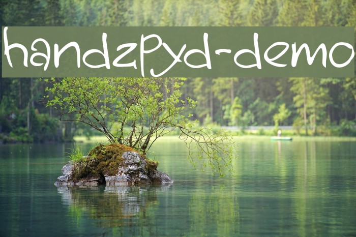 handzpyd-demo Example 2