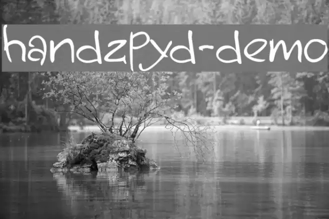 handzpyd-demo Font examples