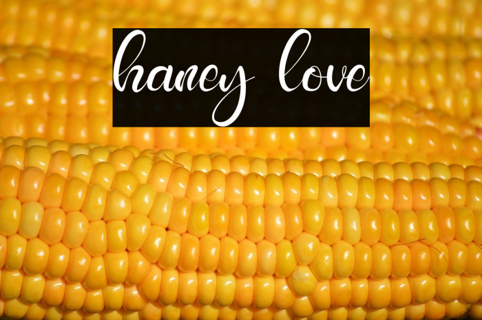 haney love Example 3