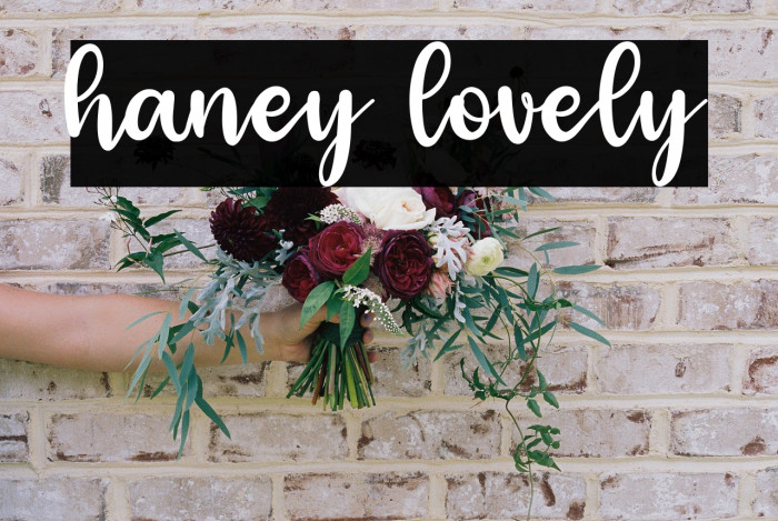 haney lovely Example 2