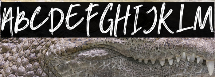 hangouts-Regular Example 2