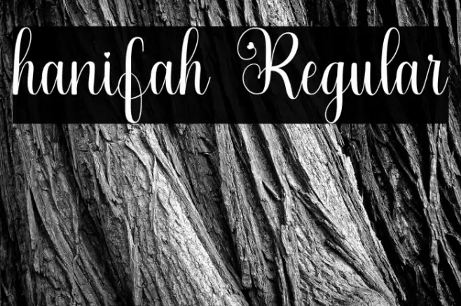 hanifah Regular Font examples