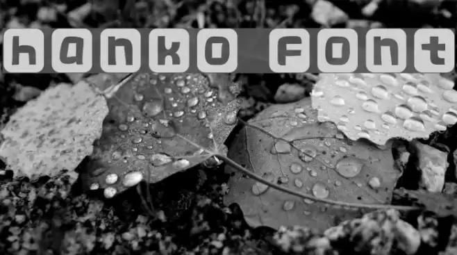 hanko Font examples