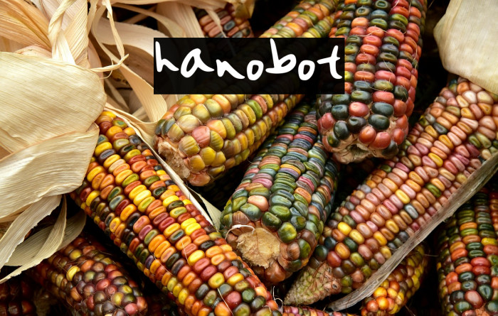 hanobot Example 1
