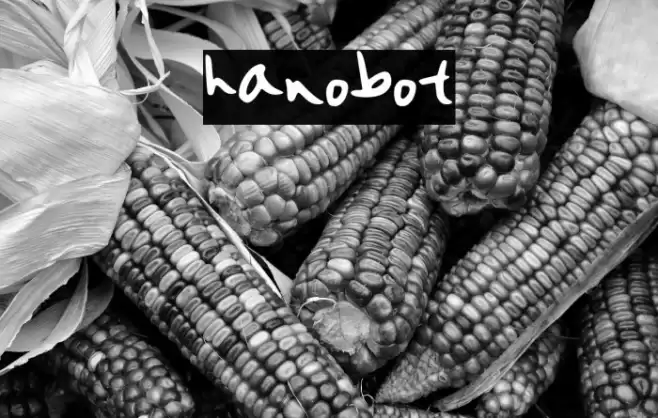 hanobot फ़ॉन्ट examples