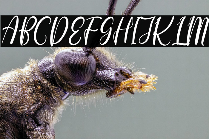 happy floral Example 2