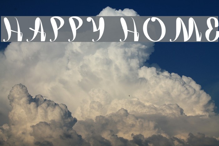 happy home Example 2