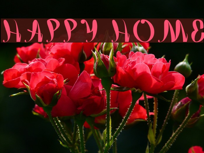 happy home Example 3