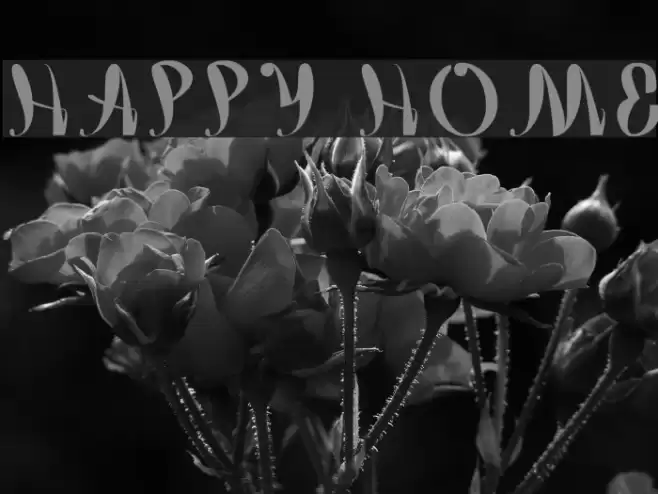 happy home Font examples