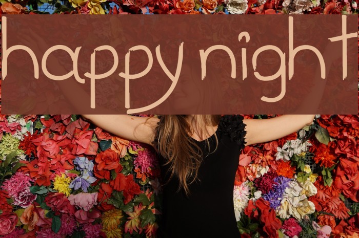 happy night Example 2