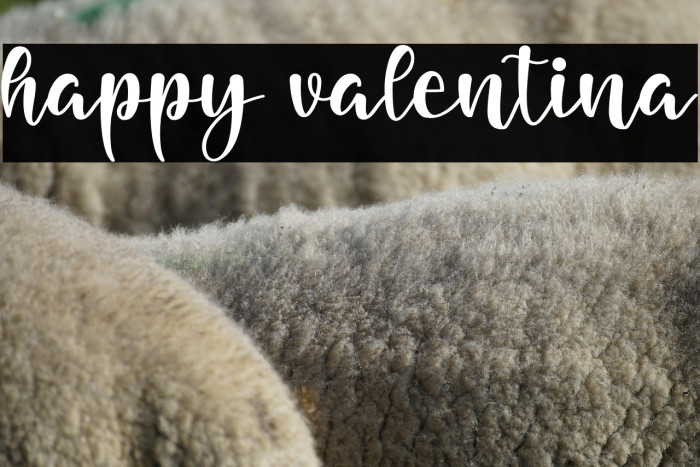 happy valentina Example 1