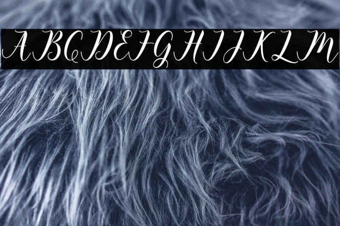 happychristmas Example 2