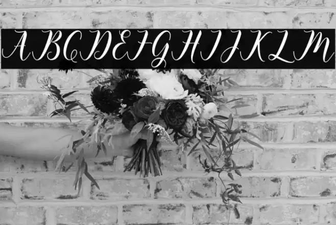 happychristmas Font examples